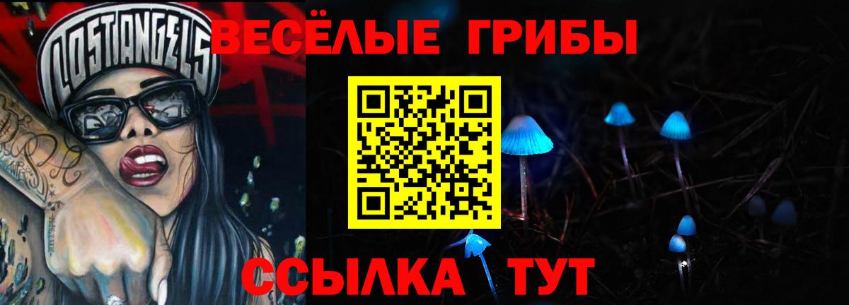 закладка  Псилоцибиновые грибы мицелий  Вход с VPN  Псилоцибиновые грибы ЛСД  Хабаровск 